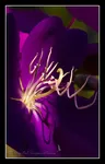 entry icon